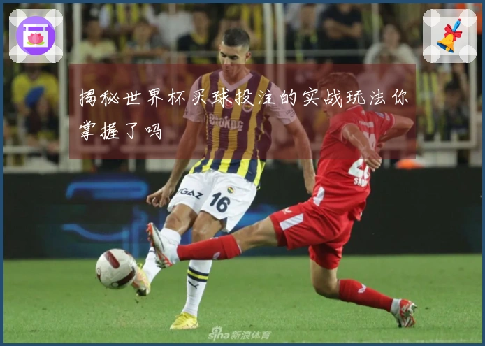 揭秘世界杯买球投注的实战玩法你掌握了吗