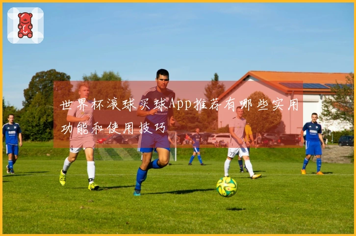 世界杯滚球买球App推荐有哪些实用功能和使用技巧