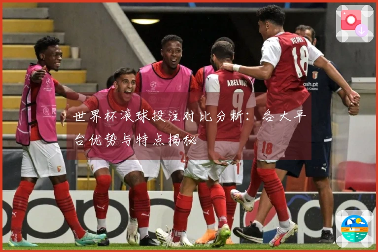 世界杯滚球投注对比分析：各大平台优势与特点揭秘