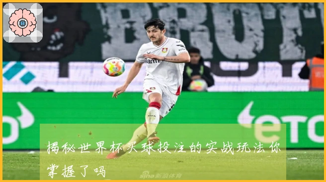 揭秘世界杯买球投注的实战玩法你掌握了吗