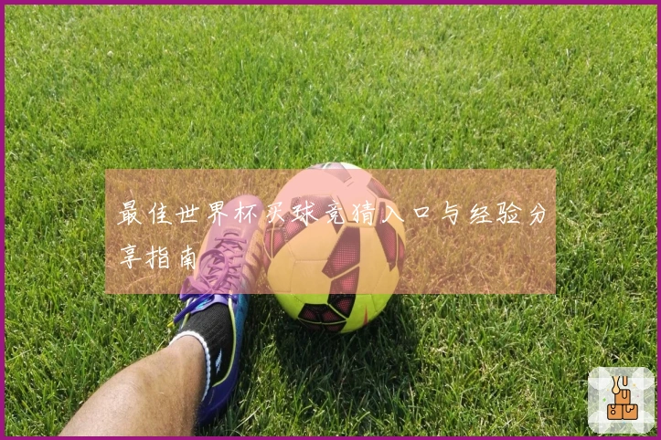 最佳世界杯买球竞猜入口与经验分享指南
