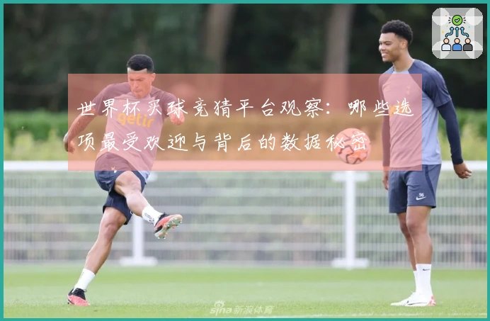 世界杯买球竞猜平台观察：哪些选项最受欢迎与背后的数据秘密