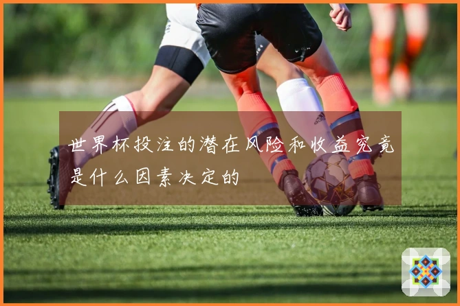 世界杯投注的潜在风险和收益究竟是什么因素决定的