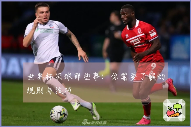 世界杯买球那些事：你需要了解的规则与技巧