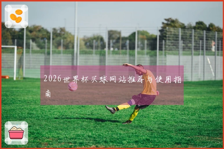 2026世界杯买球网站推荐与使用指南