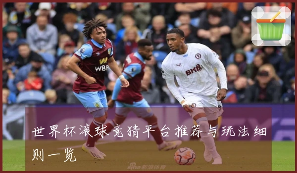 世界杯滚球竞猜平台推荐与玩法细则一览