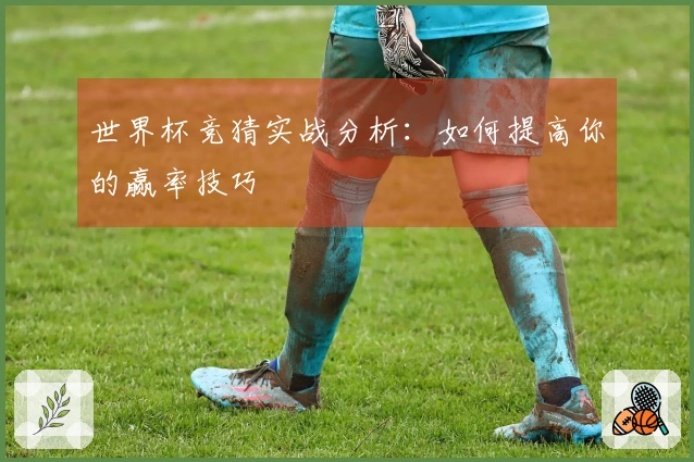世界杯竞猜实战分析：如何提高你的赢率技巧