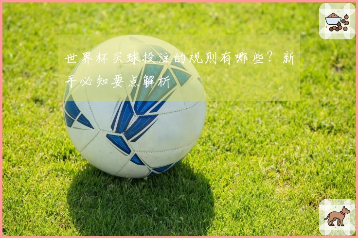 世界杯买球投注的规则有哪些？新手必知要点解析