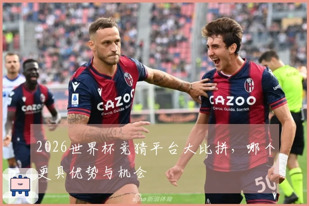 2026世界杯竞猜平台大比拼，哪个更具优势与机会