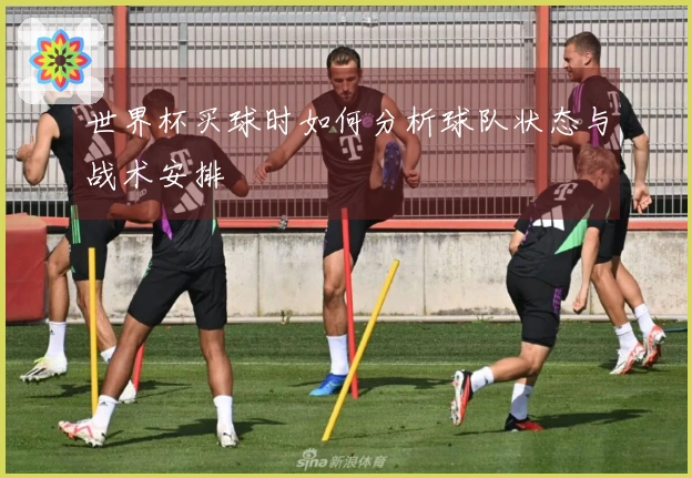 世界杯买球时如何分析球队状态与战术安排