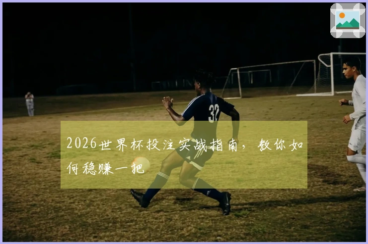 2026世界杯投注实战指南，教你如何稳赚一把